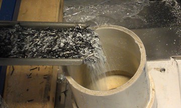 Recycling of Composites